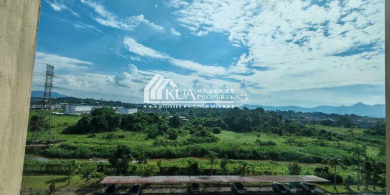 WhatsApp Image 2025-09-19 at 8.13.42 PM (1)